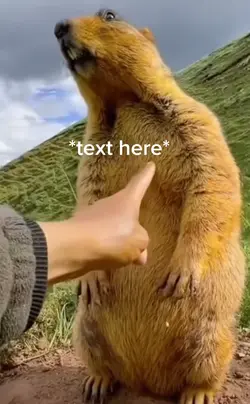 That’s silly