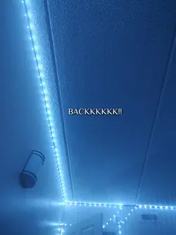 she's back!