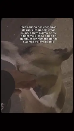 Carinho 🥺