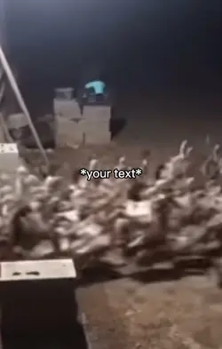Duck army