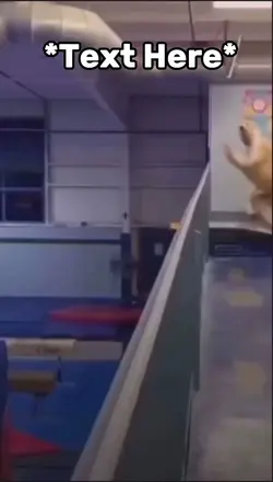 Flying squirrel meme