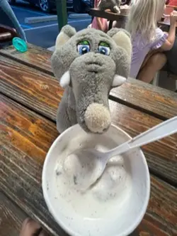 Victor the elephant5