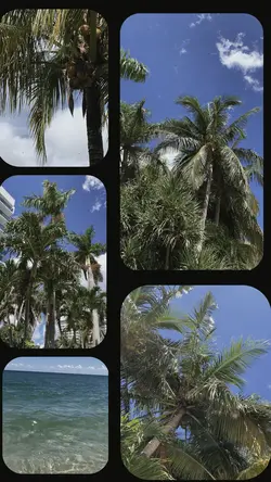 5 Video Collage 