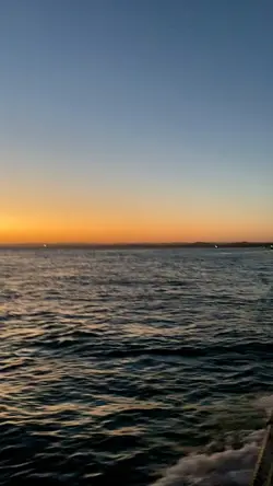 🏝️