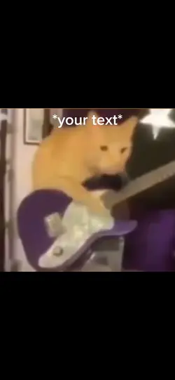 Chicken fried cat