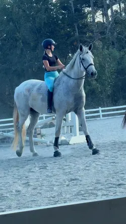 Smooth slow-mo