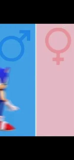 Boy genders