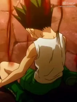 hunterxhunter edit