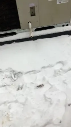 It snoweddddd!