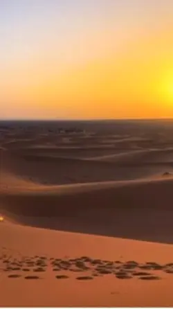 Camel ride Dubai
