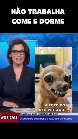 Não trabalha mimado 