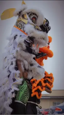 Lion dance 
