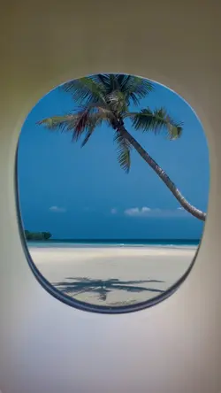 Plane Window