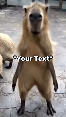 Capybara Meme