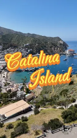 Catalina Island 