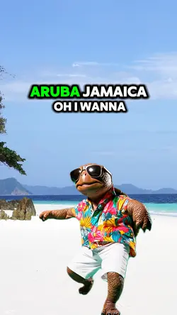 Dancing turtle