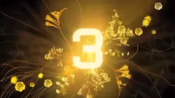 Count Down!