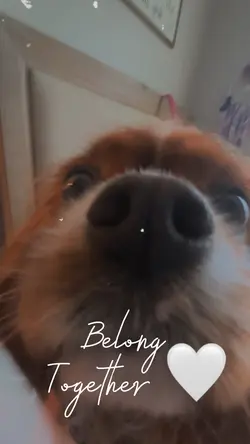 My dog ❤️