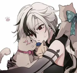 arlecchino edit