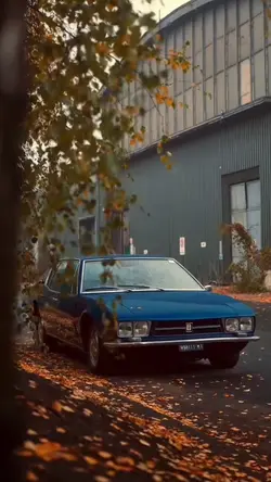 CLASSIC CAR🐋🏉