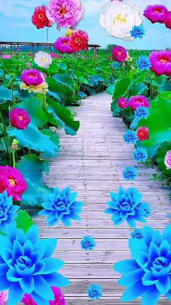 Shower of flowers
