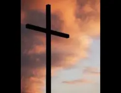 Jesus is king!! ❤️
