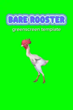 Bare Rooster