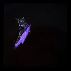 Titan tv man edit