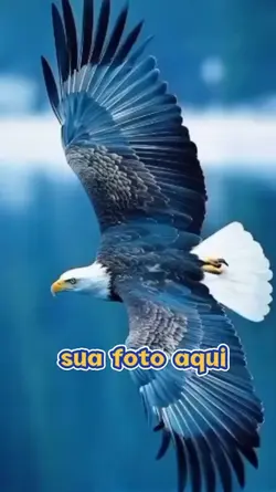 Sua foto aqui 