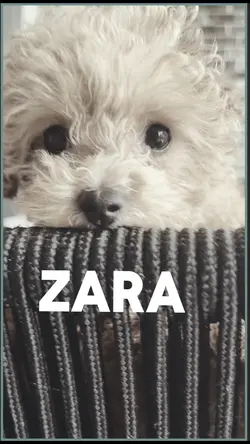 Zara models be like 
