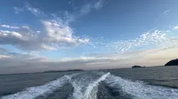 Relax sea lif