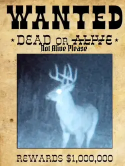 Hunting