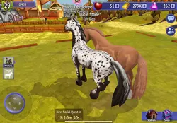 Horse riding tales