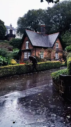 rainy day