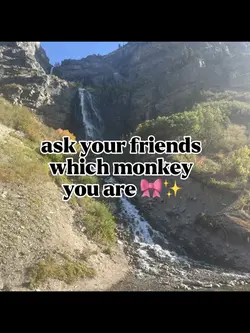 which monkey r u?