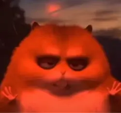Hamster destiny 