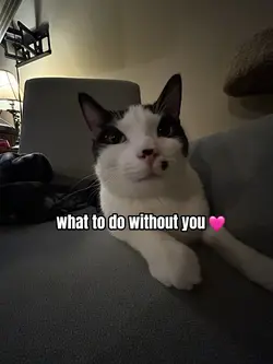 what to do without u