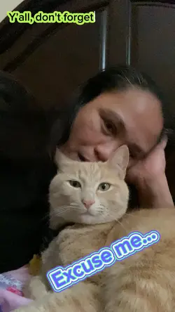 Silly cat