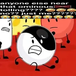 Nickloon