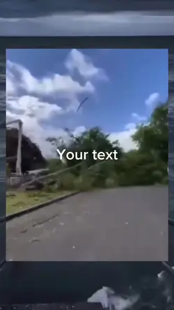 Bonk
