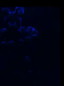 Springtrap