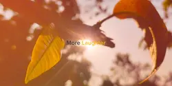 Instrumental 