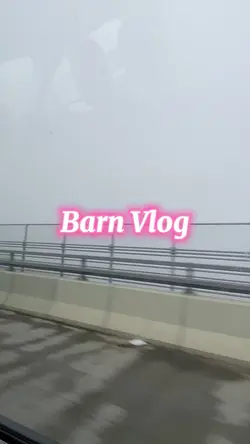 Barn Vlog!
