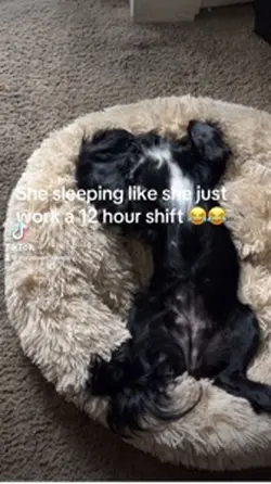 Sleeping good 