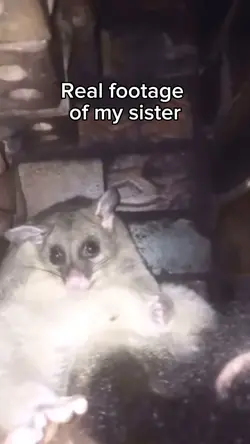 Goofy rat meme