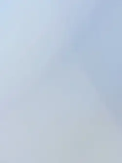 🙂‍↕️