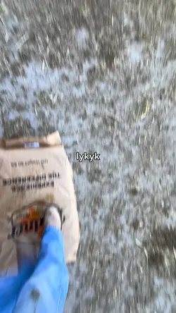  feed is rock solid
