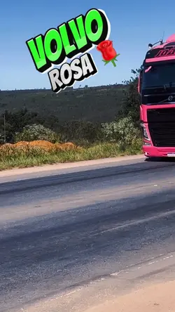 VOLVO ROSA .. 