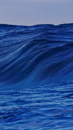 beautiful waves 