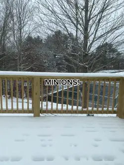 MINIONS!!!!